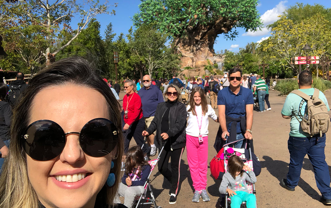 Sea World e Animal Kingdom: conheça os incríveis parques da Disney