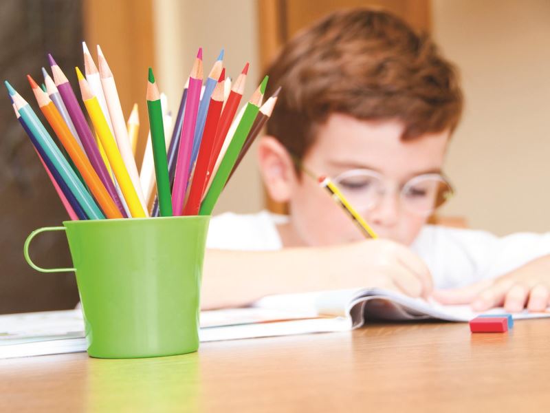 Qual linha pedagógica é melhor para a educação do seu filho?