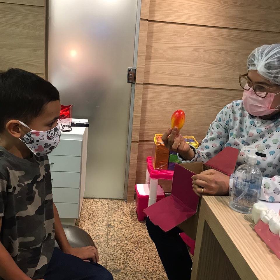 Dra. Sílvia Helena Spechoto