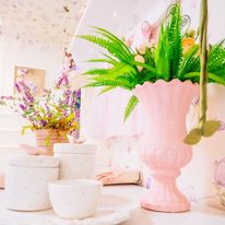 Solevita Kids & Teens